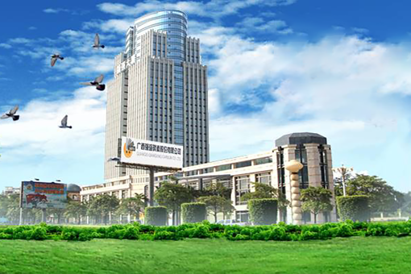 广西强强碳素股份有限公司